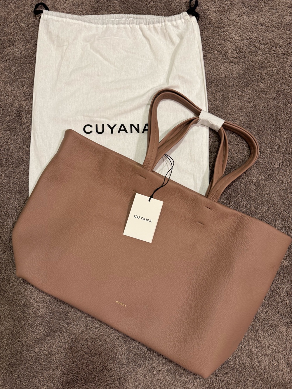 Cuyana classic easy tote in cappuccino